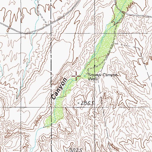 Topographic Map of Squaw Canyon Well, AZ
