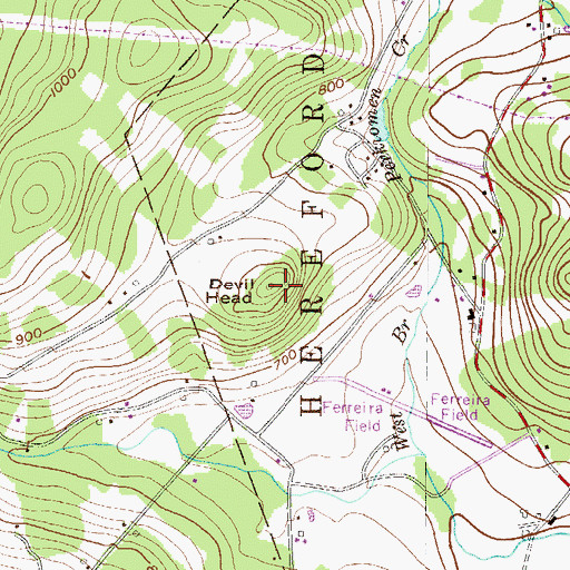Topographic Map of Devil Head, PA