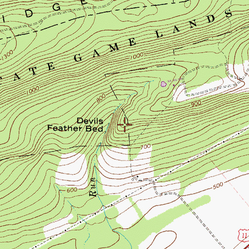 Topographic Map of Devils Feather Bed, PA