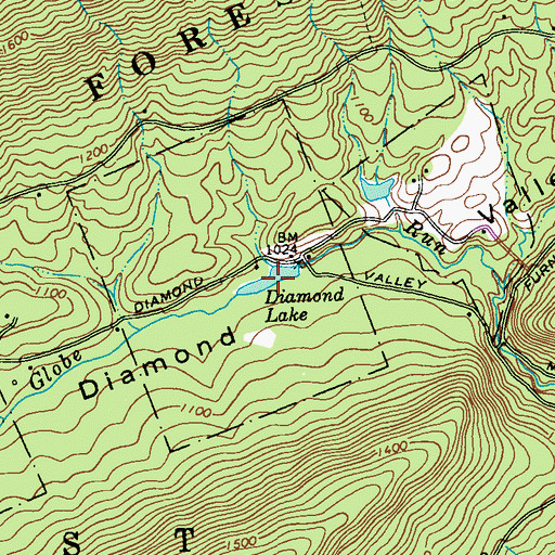 Topographic Map of Diamond Lake, PA