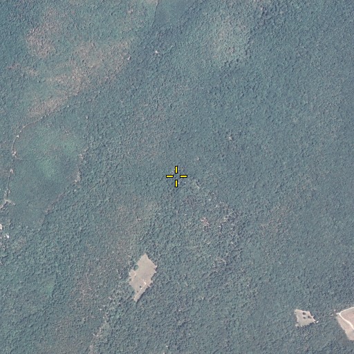 Aerial/Satellite Image of Dickens Trail, PA