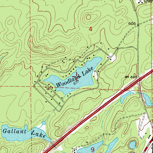 Topographic Map of Woodland Lake, AL