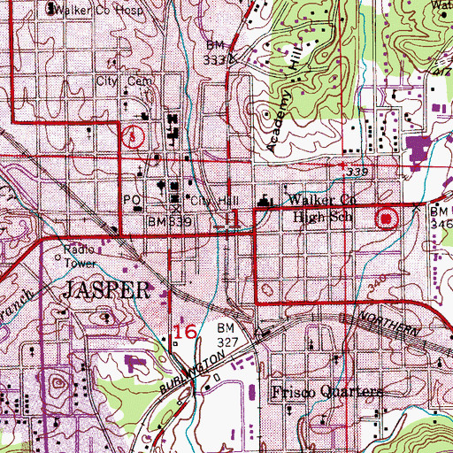 Topographic Map of Doctors Branch, AL
