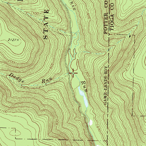 Topographic Map of Dodge Run, PA