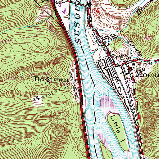 Topographic Map of Dogtown, PA