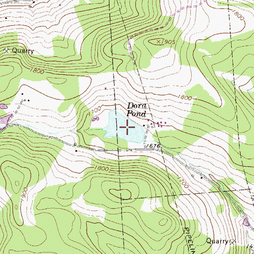 Topographic Map of Dora Pond, PA