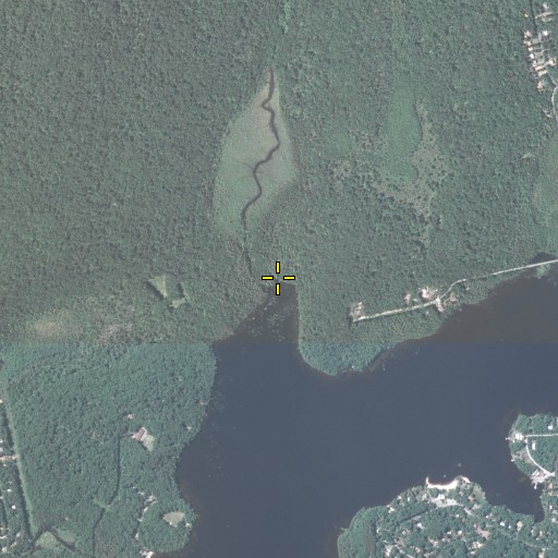 Aerial/Satellite Image of Dotters Run, PA