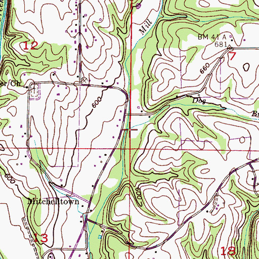 Topographic Map of Dog Branch, AL