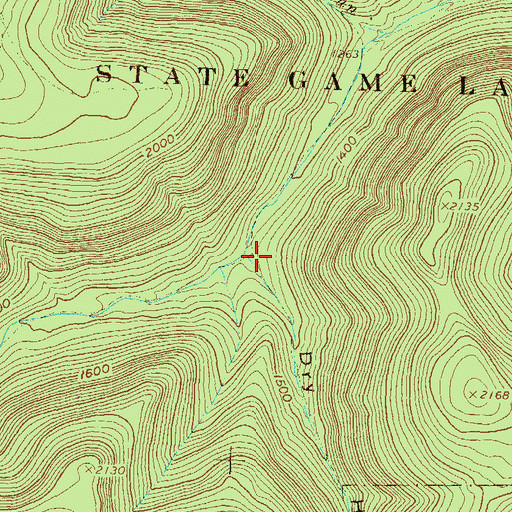 Topographic Map of Dry Hollow, PA
