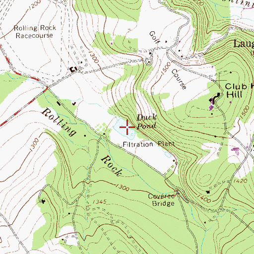 Topographic Map of Duck Pond, PA