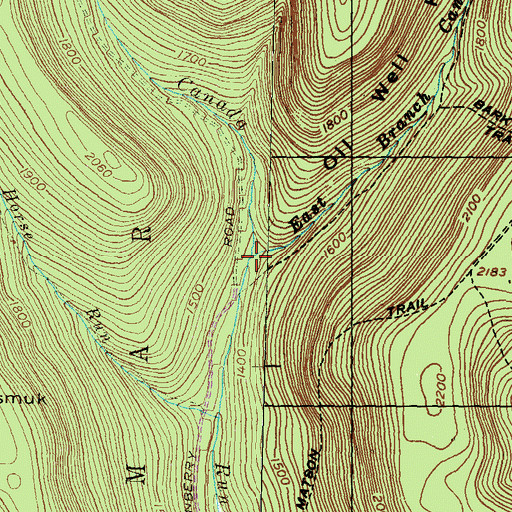 Topographic Map of East Branch Canada Run, PA