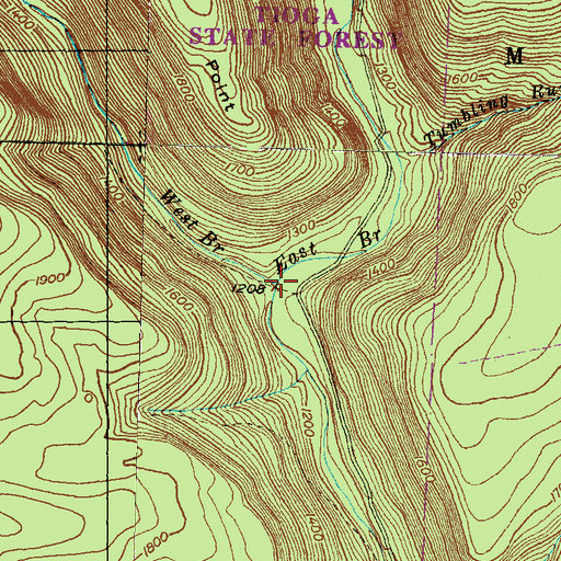 Topographic Map of East Branch Stony Fork, PA