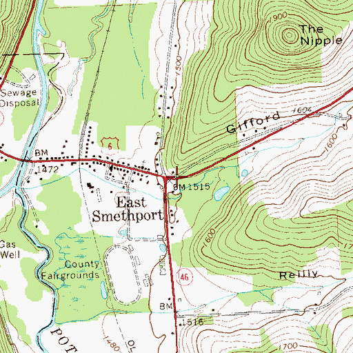 Topographic Map of East Smethport, PA