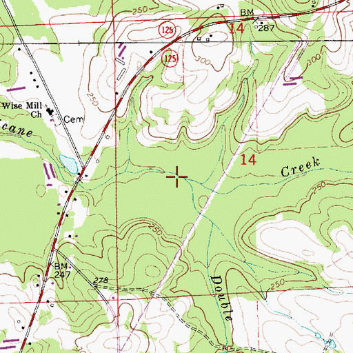 Topographic Map of Double Branch, AL