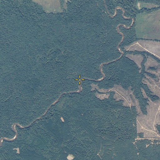 Aerial/Satellite Image of Double Branch, AL