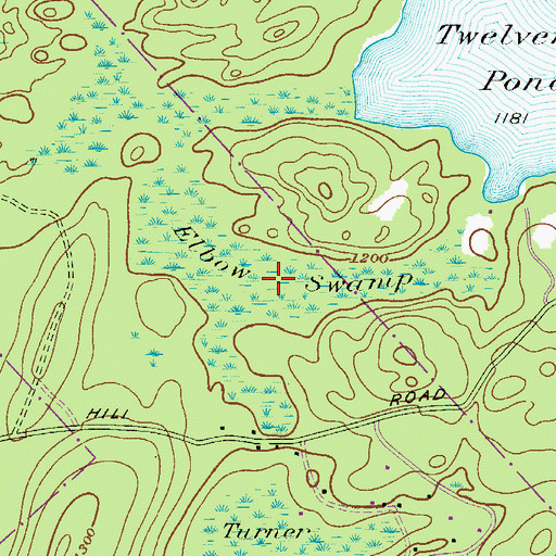 Topographic Map of Elbow Swamp, PA