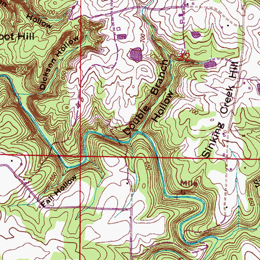 Topographic Map of Double Branch Hollow, AL