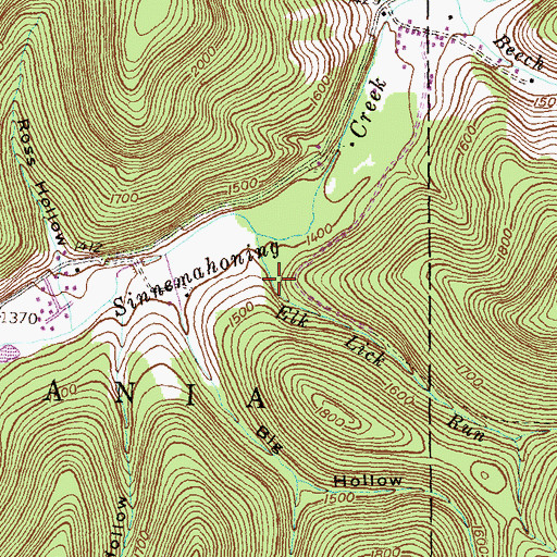 Topographic Map of Elk Lick Run, PA