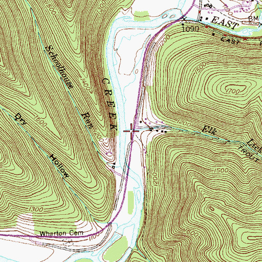 Topographic Map of Elk Lick Run, PA