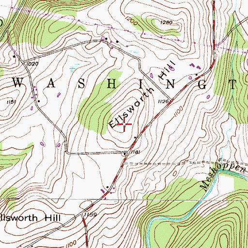 Topographic Map of Ellsworth Hill, PA