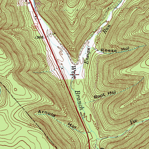 Topographic Map of Ensign Run, PA
