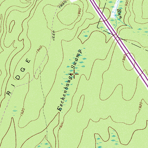 Topographic Map of Eschenbaugh Swamp, PA