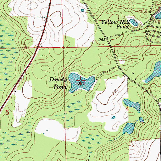 Topographic Map of Dowdy Pond, AL