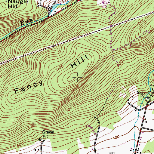Topographic Map of Fancy Hill, PA