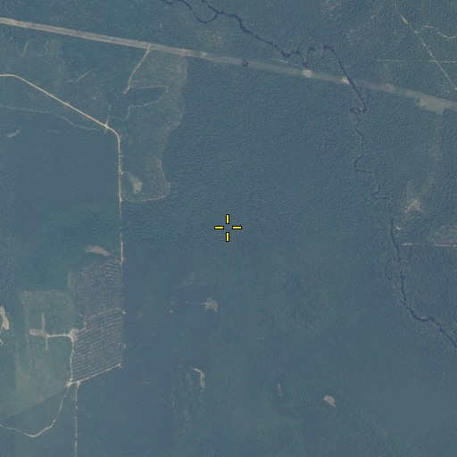 Aerial/Satellite Image of Dreddin Branch, AL