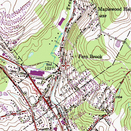 Topographic Map of Fern Brook, PA