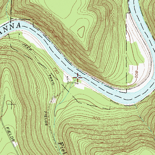 Topographic Map of Fields Run, PA