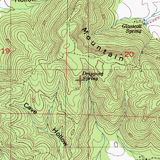 Topographic Map of Dripping Spring, AL