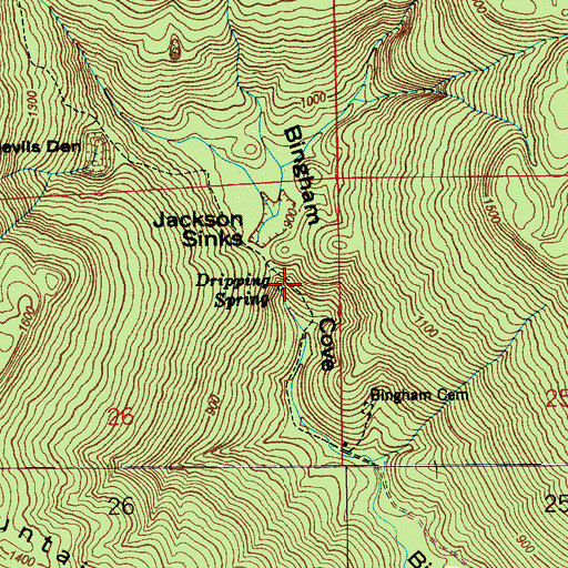 Topographic Map of Dripping Spring, AL
