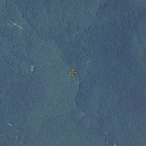 Aerial/Satellite Image of Dripping Spring, AL