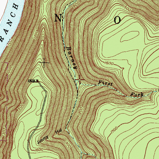 Topographic Map of First Fork Barney Run, PA