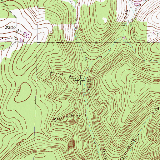 Topographic Map of First Hollow, PA