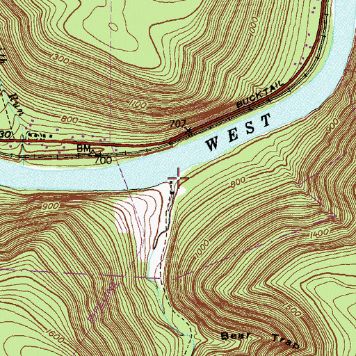 Topographic Map of Fish Dam Run, PA