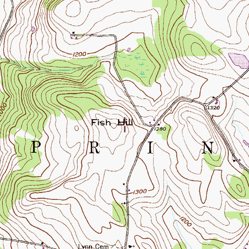 Topographic Map of Fish Hill, PA