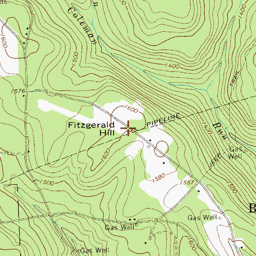 Topographic Map of Fitzgerald Hill, PA