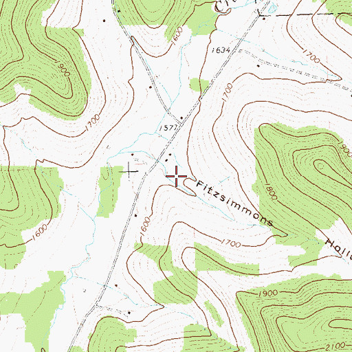 Topographic Map of Fitzsimmons Hollow, PA