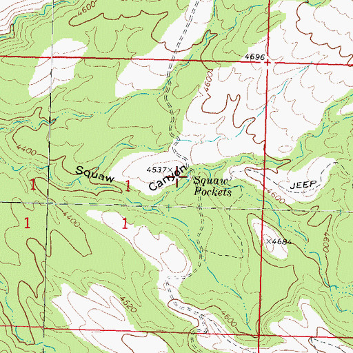 Topographic Map of Squaw Pockets, AZ