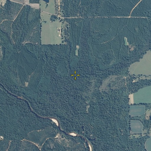 Aerial/Satellite Image of Dry Branch, AL