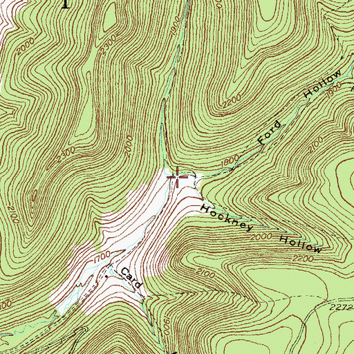 Topographic Map of Ford Hollow, PA