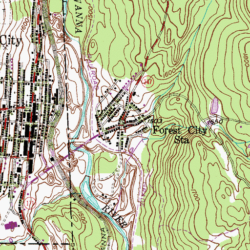 Topographic Map of Forest City Station, PA