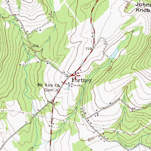Topographic Map of Fortney, PA