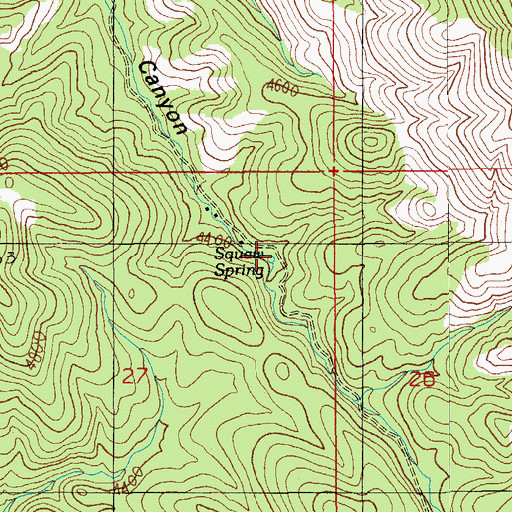 Topographic Map of Squaw Spring, AZ
