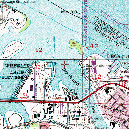 Topographic Map of Dry Branch, AL