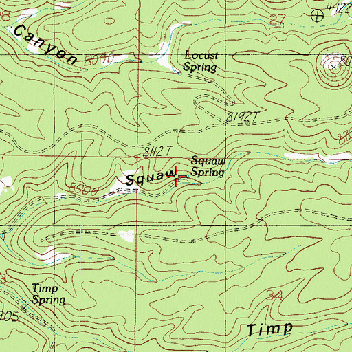 Topographic Map of Squaw Spring, AZ