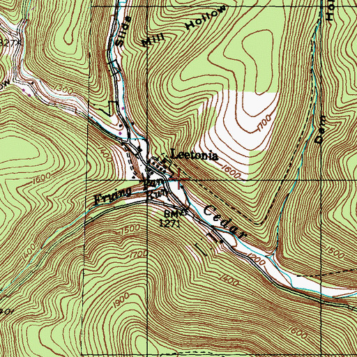 Topographic Map of Frying Pan Run, PA