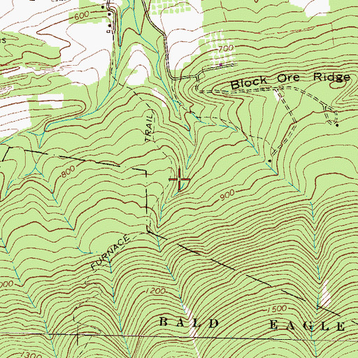 Topographic Map of Furnace Trail, PA